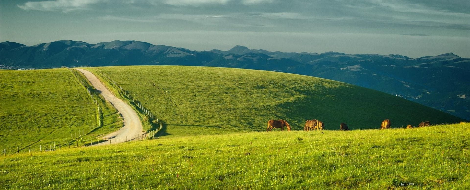 Pascoli del Monte Subasio con cavalli al pascolo, paesaggio umbro
